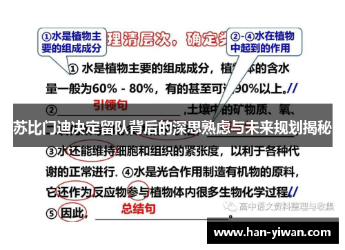 苏比门迪决定留队背后的深思熟虑与未来规划揭秘
