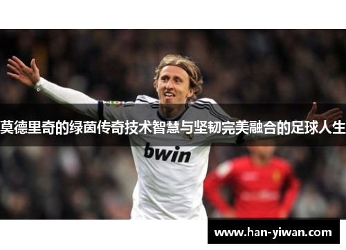 莫德里奇的绿茵传奇技术智慧与坚韧完美融合的足球人生
