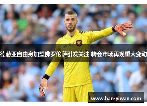 德赫亚自由身加盟佛罗伦萨引发关注 转会市场再现重大变动