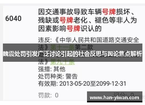 魏震处罚引发广泛讨论引起的社会反思与舆论焦点解析