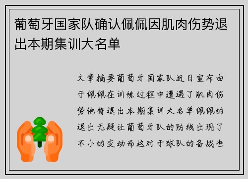 葡萄牙国家队确认佩佩因肌肉伤势退出本期集训大名单